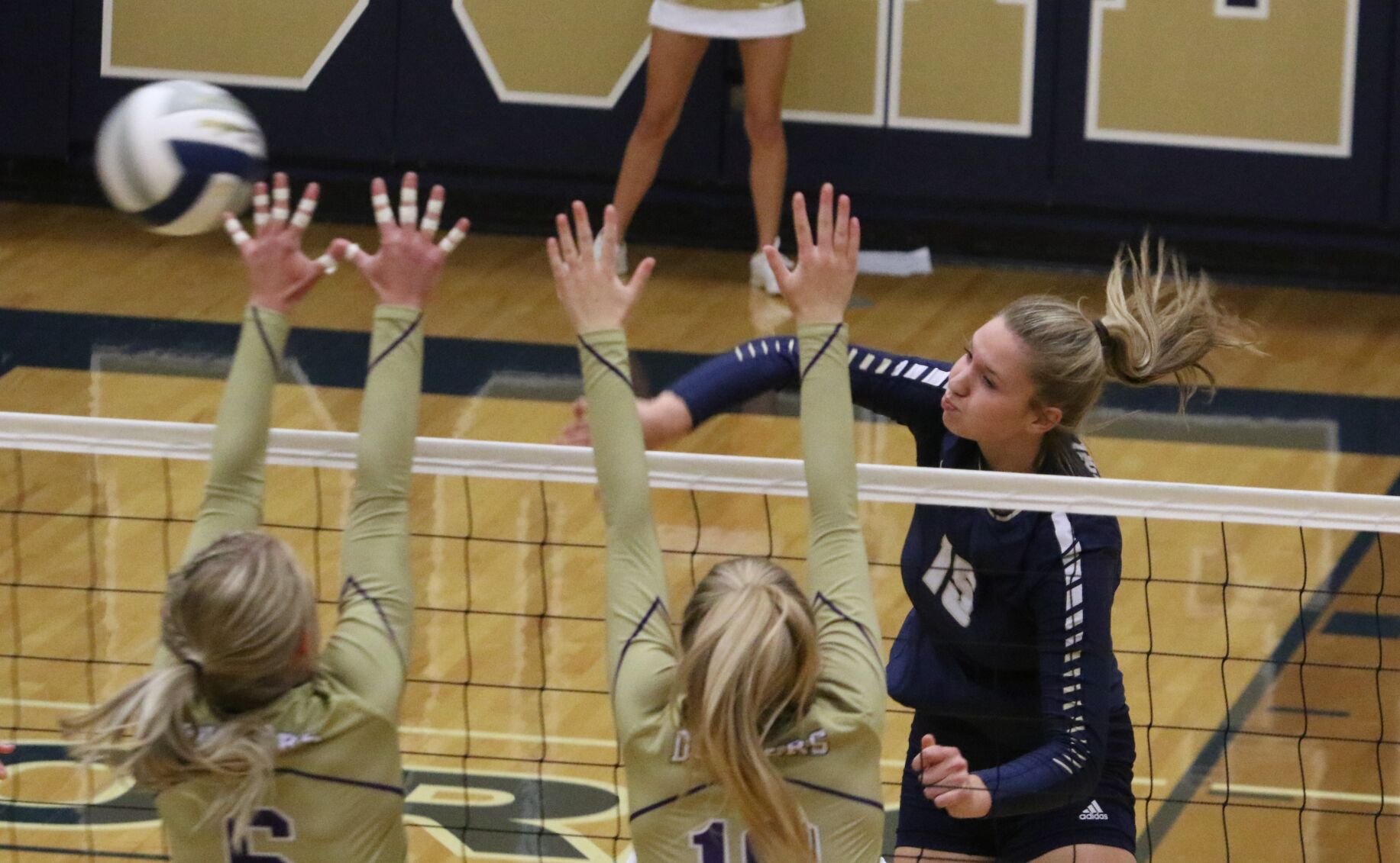 Masa Scheierman, York Volleyball